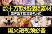 免费情感短视频(有关情感的短视频)