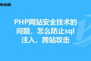 攻击网站(攻击网站的软件app)