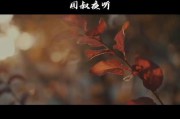 情感短视频(情感短视频素材)