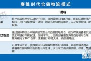 赛维电商(赛维电商股份有限公司)