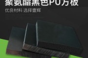 pu什么意思(蒲什么意思)
