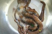 八爪鱼的做法视频教程(八爪鱼的做法视频教程爆炒)
