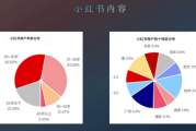 小红书营销推广步骤(小红书营销推广模式)
