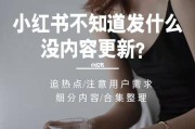 小红书新媒体营销案例分析(蜜雪冰城新媒体营销案例分析)