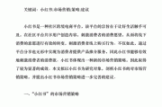 小红书营销策略论文(小红书营销策略论文摘要)