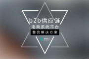 电商运营平台(电商运营平台规则)