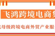 跨境电商招聘(虾皮跨境电商招聘) 跨境电商招聘(虾皮跨境电商招聘)