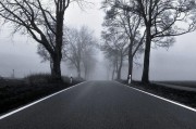 拼多多电商收入
:现在的电商还可以做吗，拼多多和淘宝的利润还大不大？