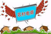 农村电商平台有哪些
:农村电商前景如何？怎么去把握住？现在有哪些农村电商平台？
