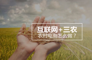 怎么样做电商(电商引流怎么样做)