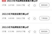 小红书策划服务(小红书的内容策划)