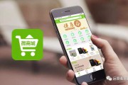 微商城电商系统开发商(电商系统大商创电商系统)
