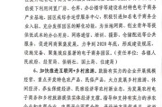 农村电商政府要(政府如何扶持农村电商)