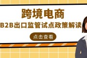 出口电商平台(国外出口电商平台)