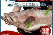 龙趸和石斑鱼区别(龙趸鱼鱼石斑鱼的区别)