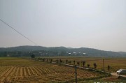 87团电商平台
:在农村用哪个平台网购比较好呢？
