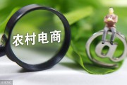 农商1号电商平台
:农资电商“农商1号”五大基金全部退出尴尬收场，农资电商还有机会吗？