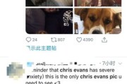 美国的短视频(外国的短视频平台有哪些)