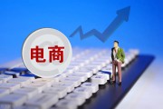 乡村电商(乡村电商政策)