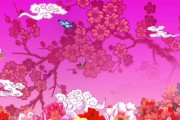 梅花短视频(梅花短视频在线)