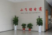 电商有限公司(国网智联电商有限公司)