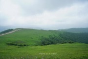 华北那(华北那他霉素滴眼液)