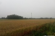 麦子国际综合电商平台
:农村种地都是种的小麦和玉米，怎么和电商合作？