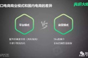 自营电商(自营电商模式的利弊)