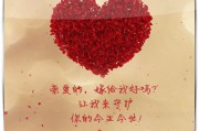 求婚的小视频制作(电影院求婚视频制作)