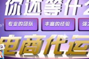 电商代运营电商(亚马逊跨境电商代运营)