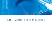 电商平台建站(电子商务网站建站有哪几种方式)