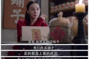 电视剧广告植入形式(三只松鼠广告植入电视剧)