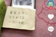 91黄色短视频(91黄色短视频)