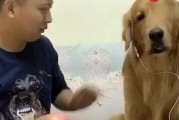 关于婴儿的搞笑短视频(关于婴儿的搞笑短视频素材)