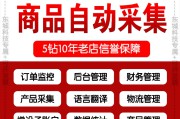电商软件系统开发(电商平台开发软件公司)