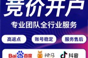 平台怎么推广(电商平台推广怎么做)