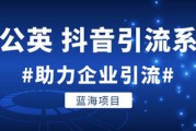 抖音怎么引流(抖音怎么引流不会被平台封号)
