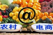 农村电商发展(农村电商发展问题)