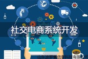 电商软件开发(电商平台软件开发)
