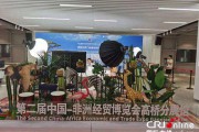 非洲电商(非洲电商jumia现状)