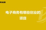 电商项目有哪些(跨境电商项目有哪些)