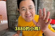 搞短视频(吓人恶搞短视频)