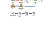 电商发货流程(电商发货流程及注意事项)
