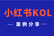 小红书推广案例总结(小红书运营总结)
