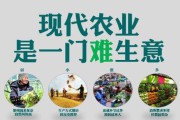 农一网电商平台(农一网电商平台怎么样)