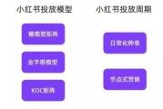 小红书的营销案例分析(小红书的数据库营销案例分析)