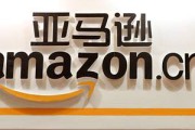 怎么做亚马逊跨境电商(怎么做亚马逊跨境电商平台)