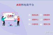 什么叫电商平台(什么是垂直电商平台)
