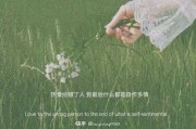 文案素材库(爆款文案素材库)