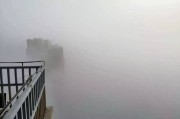 大雾短视频(高速上大雾的视频)